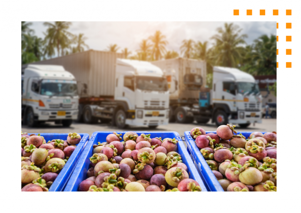Cajas de fruta fresca listas para la cadena de frío, con camiones logísticos al fondo